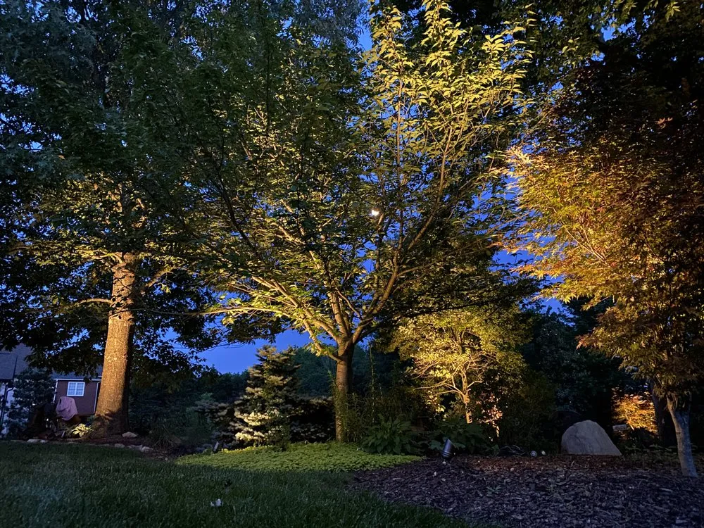 Expert residential landscaping for year-round maintenance in Murfreesboro, TN by The Southern Landscape