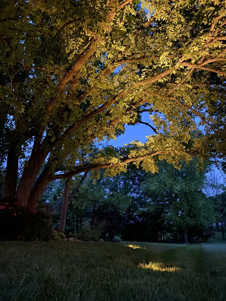 Reliable yard cleanup service in Murfreesboro, TN by The Southern Landscape