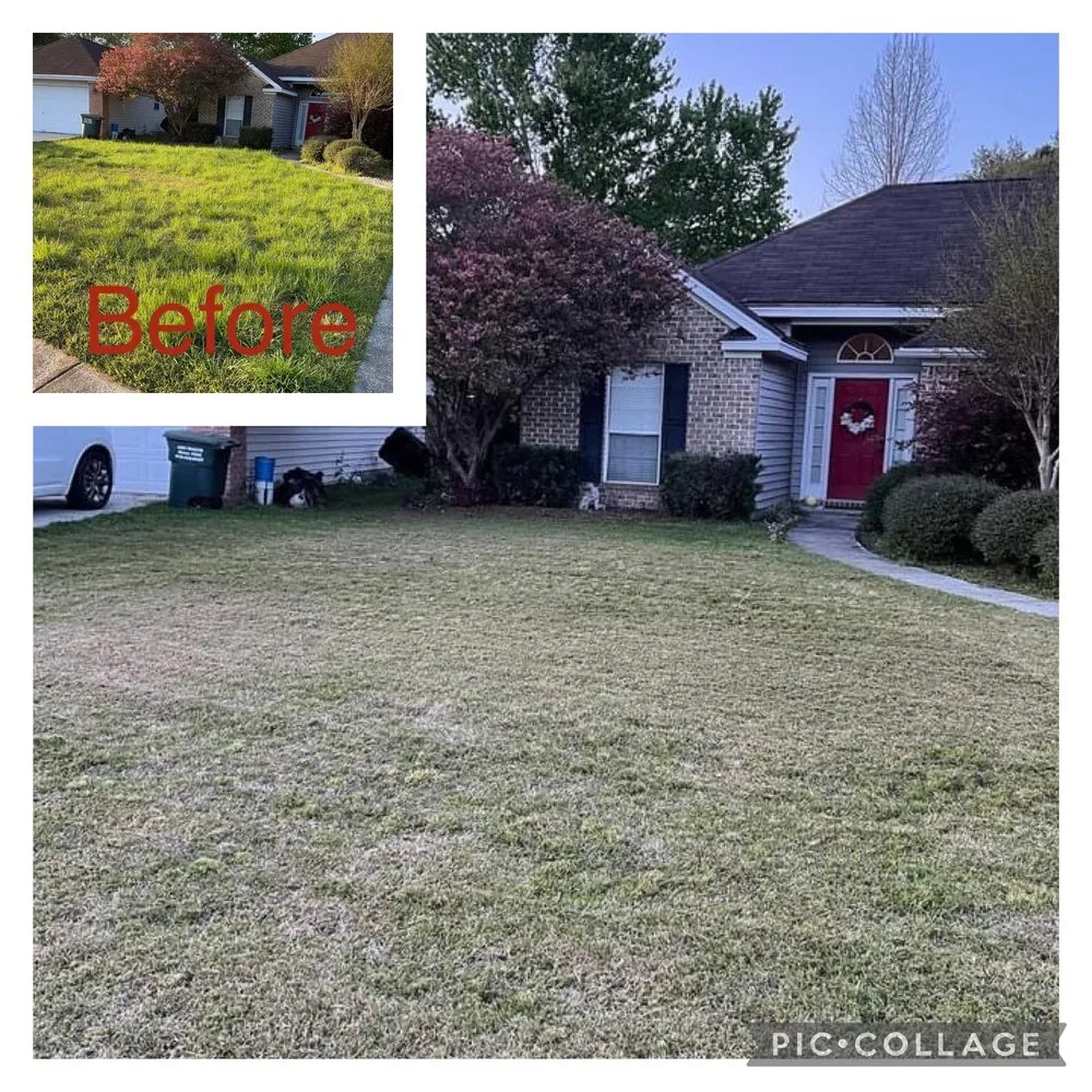 Custom yard maintenance for residential properties in Bloomingdale, GA by The South’s Lawn Pros