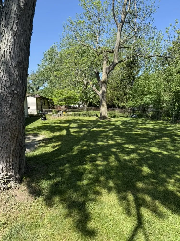 Trusted outdoor landscaping for beautiful yards across Gary, IN - The Space Crew Property Pros