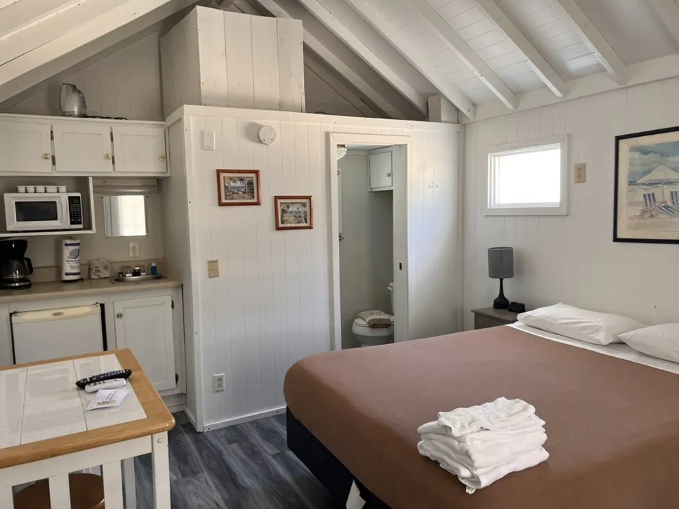 Top-rated yard maintenance in Navarre, FL by The Sparkle Guru