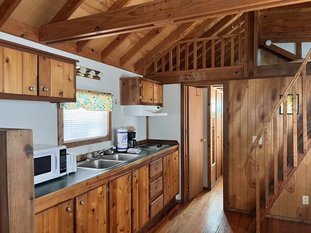 Affordable landscaping services in Navarre, FL - The Sparkle Guru