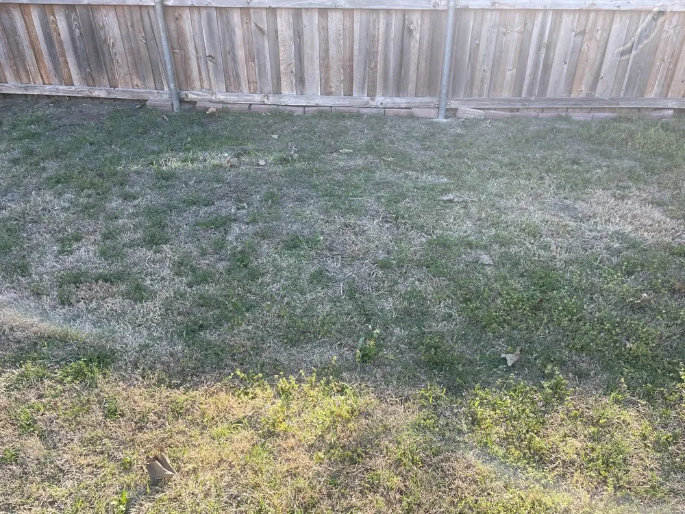 Trusted landscape installation experts serving Red Oak, TX - The Sparks Way