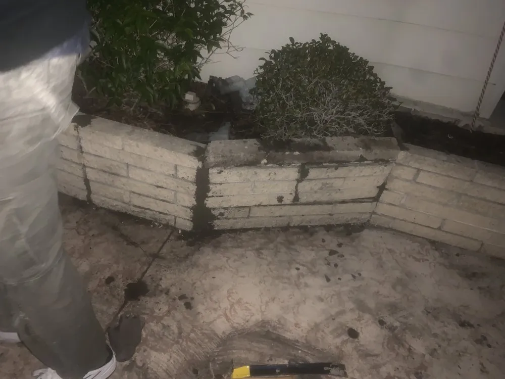 Top-rated residential landscaping experts serving Sarasota, FL - The Spic and Span Brothers Commercial