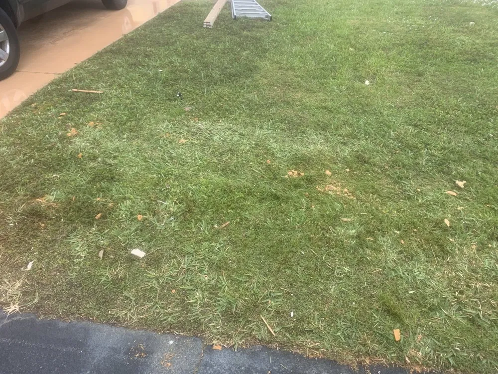 Affordable lawn care service for outdoor upgrades across Sarasota, FL - The Spic and Span Brothers Commercial