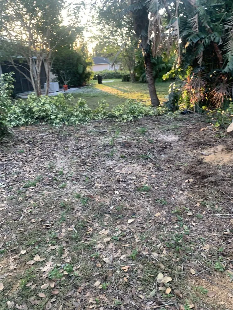 Reliable outdoor landscaping for beautiful yards across Sarasota, FL - The Spic and Span Brothers Commercial