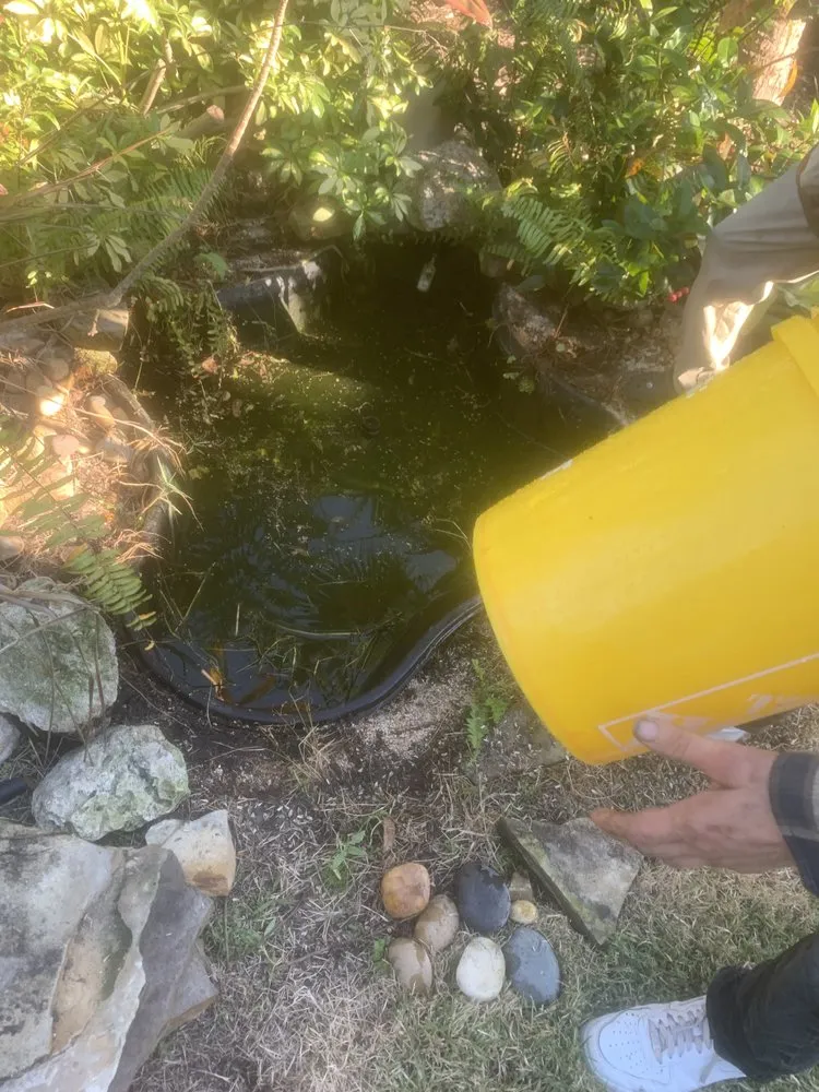 Professional lawn mowing service for outdoor upgrades in Sarasota, FL by The Spic and Span Brothers Commercial