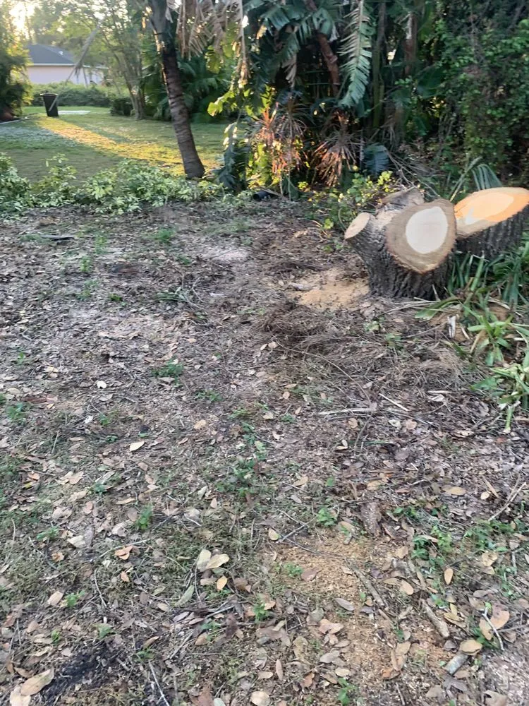 Reliable landscaping services in Sarasota, FL - The Spic and Span Brothers Commercial