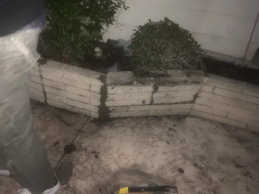 The Spic and Span Brothers Commercial