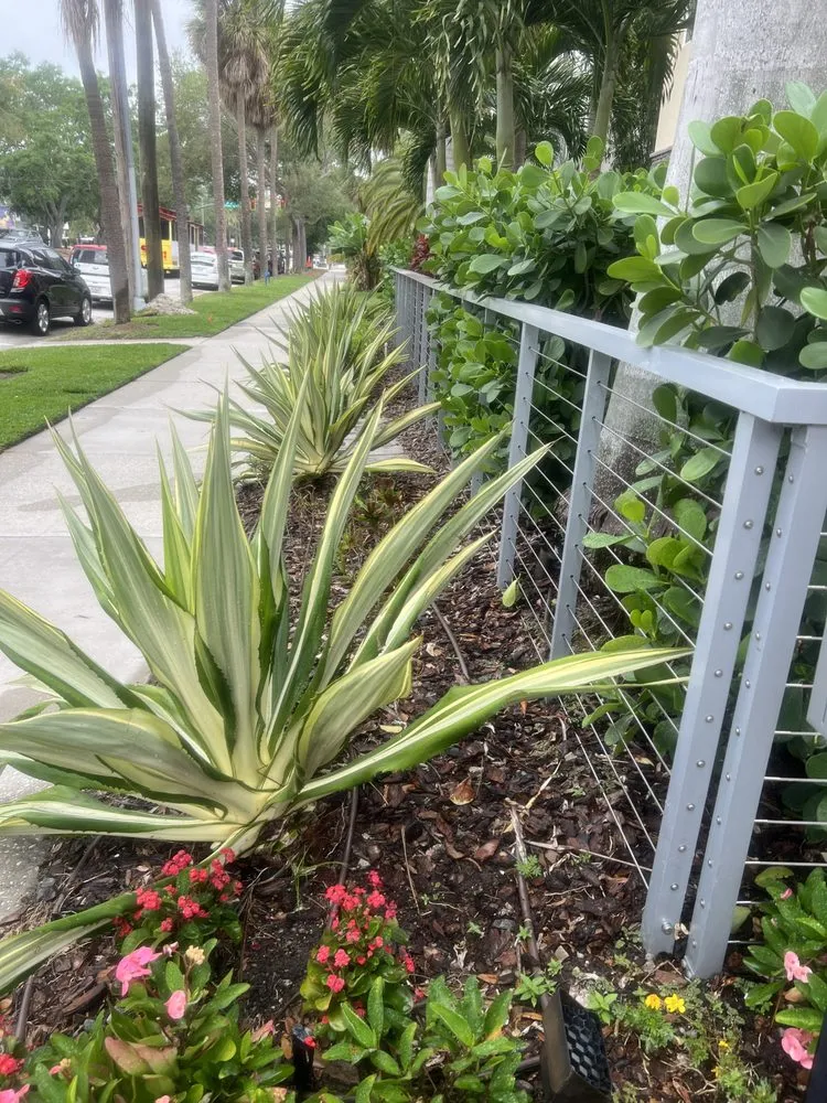 Trusted residential landscaping experts serving Bradenton, FL - The Sprinkler Company