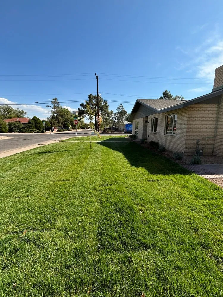 Trusted landscape installation experts serving Albuquerque, NM - The Sprinkler Experts