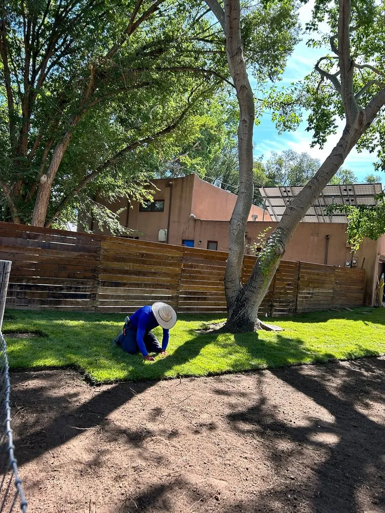 Reliable lawn mowing service in Albuquerque, NM - The Sprinkler Experts