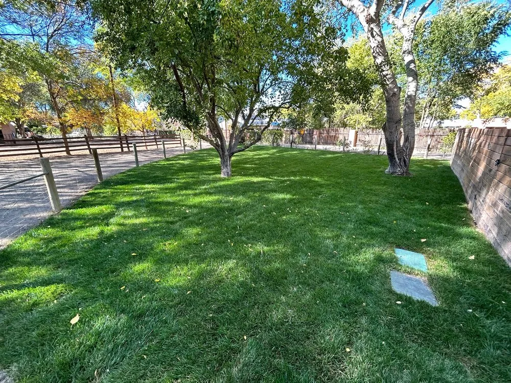 Affordable outdoor landscaping in Albuquerque, NM - The Sprinkler Experts