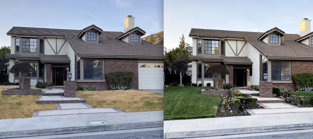 Top-rated outdoor landscaping experts serving Los Angeles, CA - The Sprinkler Geeks