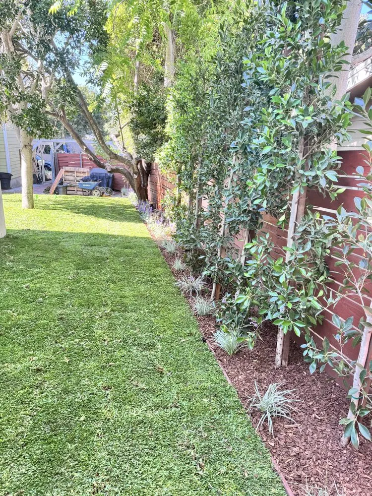 Reliable yard maintenance for beautiful yards across Los Angeles, CA - The Sprinkler Geeks