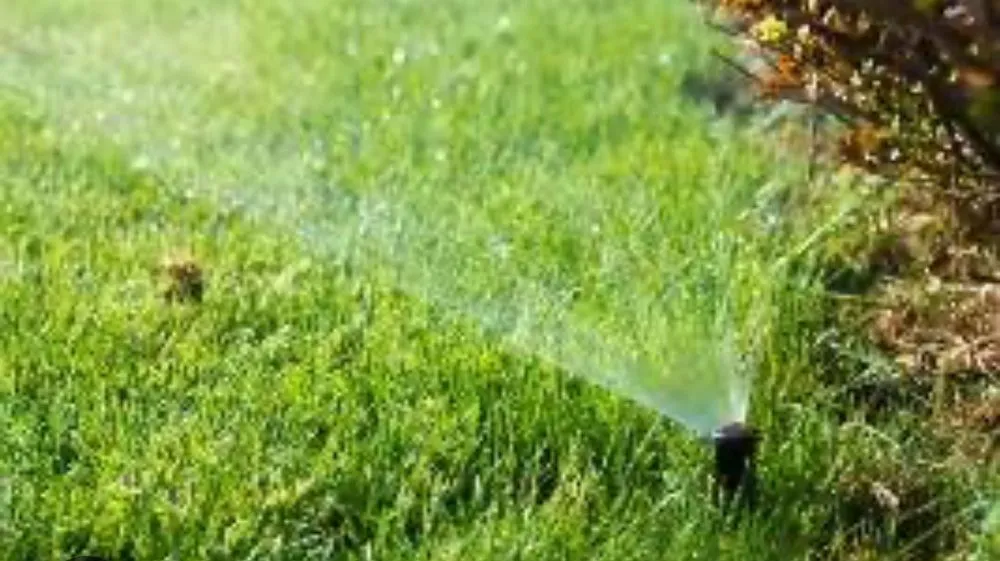 Reliable yard cleanup service in Venice, FL by The Sprinkler Guy Venice
