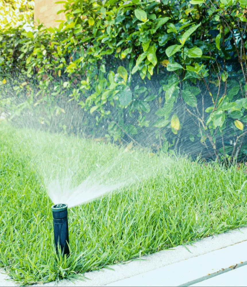 Professional yard cleanup service in Venice, FL - The Sprinkler Guy Venice