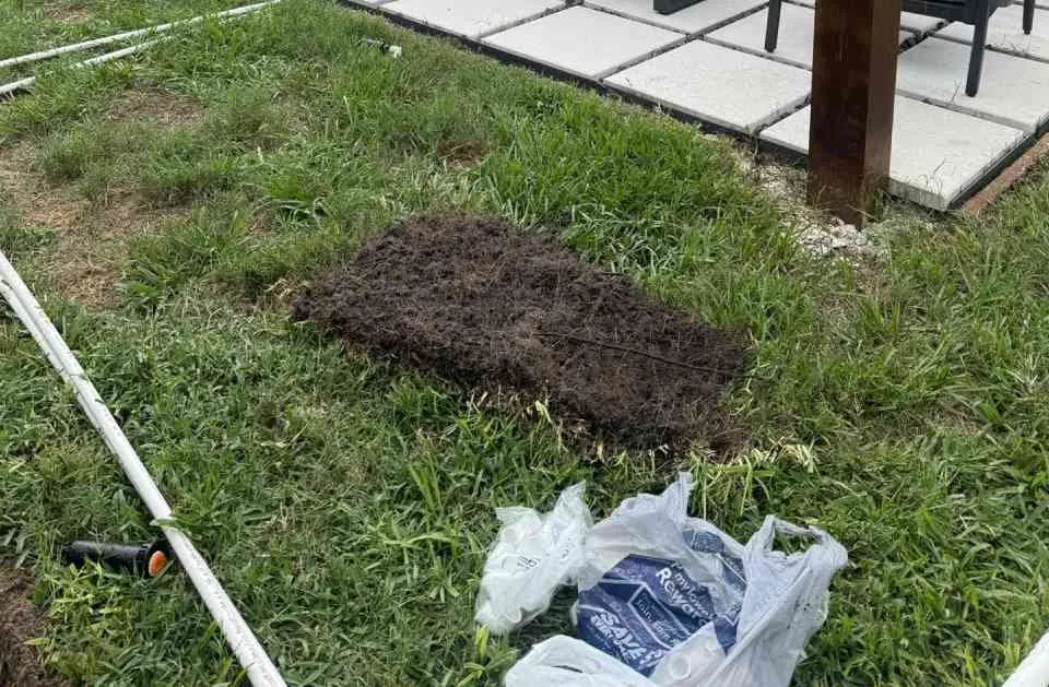 Affordable landscaping services for beautiful yards across New Port Richey, FL - The Sprinkler Tinkerer