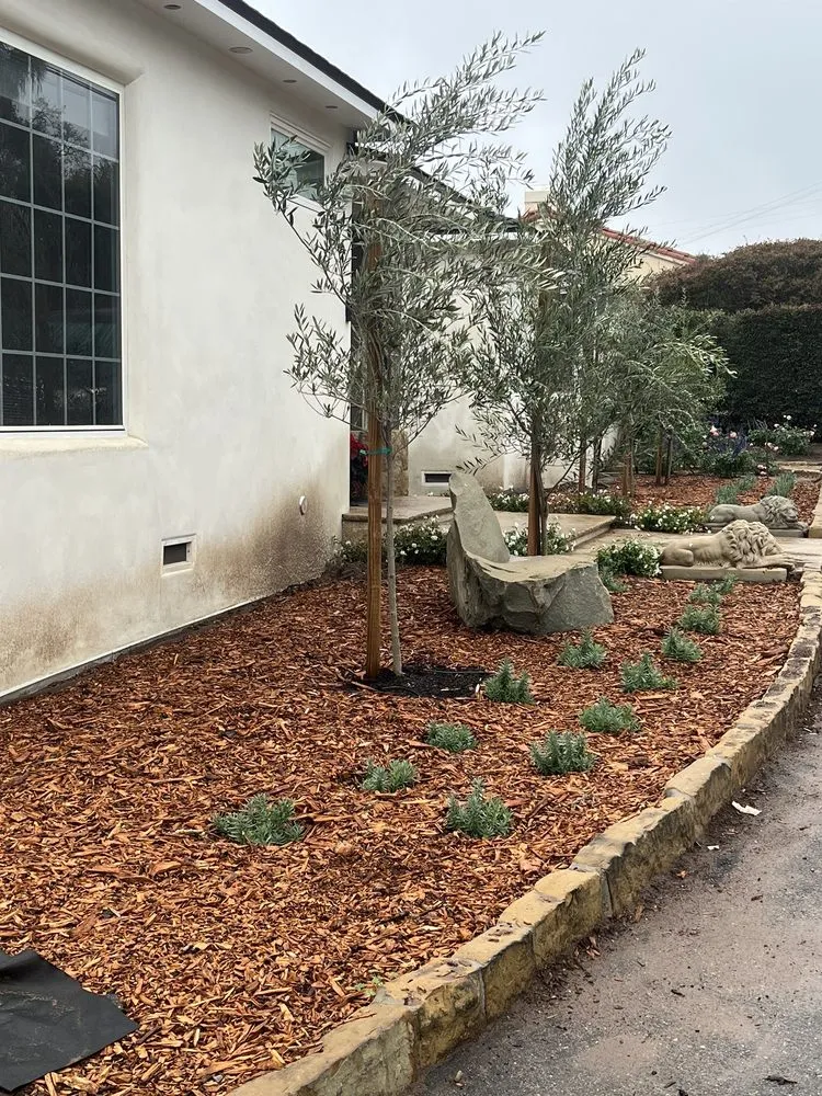 Top-rated yard maintenance experts serving Fillmore, CA - The Standard Design Group Nurseries