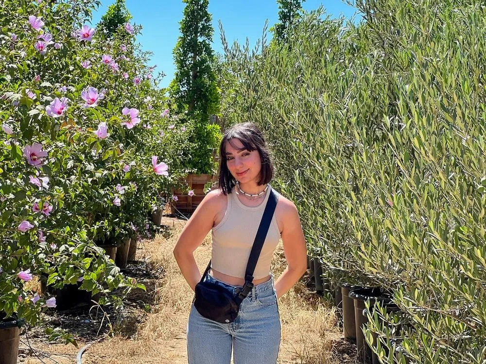 Affordable landscaping services for year-round maintenance in Fillmore, CA by The Standard Design Group Nurseries