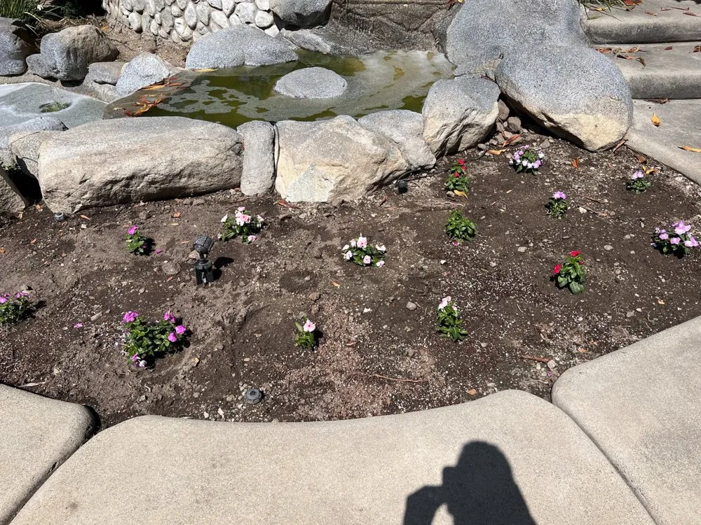 Local garden landscaping for residential properties across Lake Arrowhead, CA - The Standard Design Group Nurseries