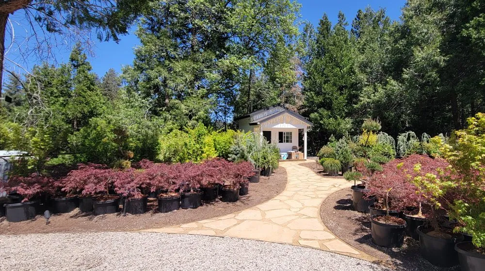 Top-rated garden landscaping in Lake Arrowhead, CA - The Standard Design Group Nurseries