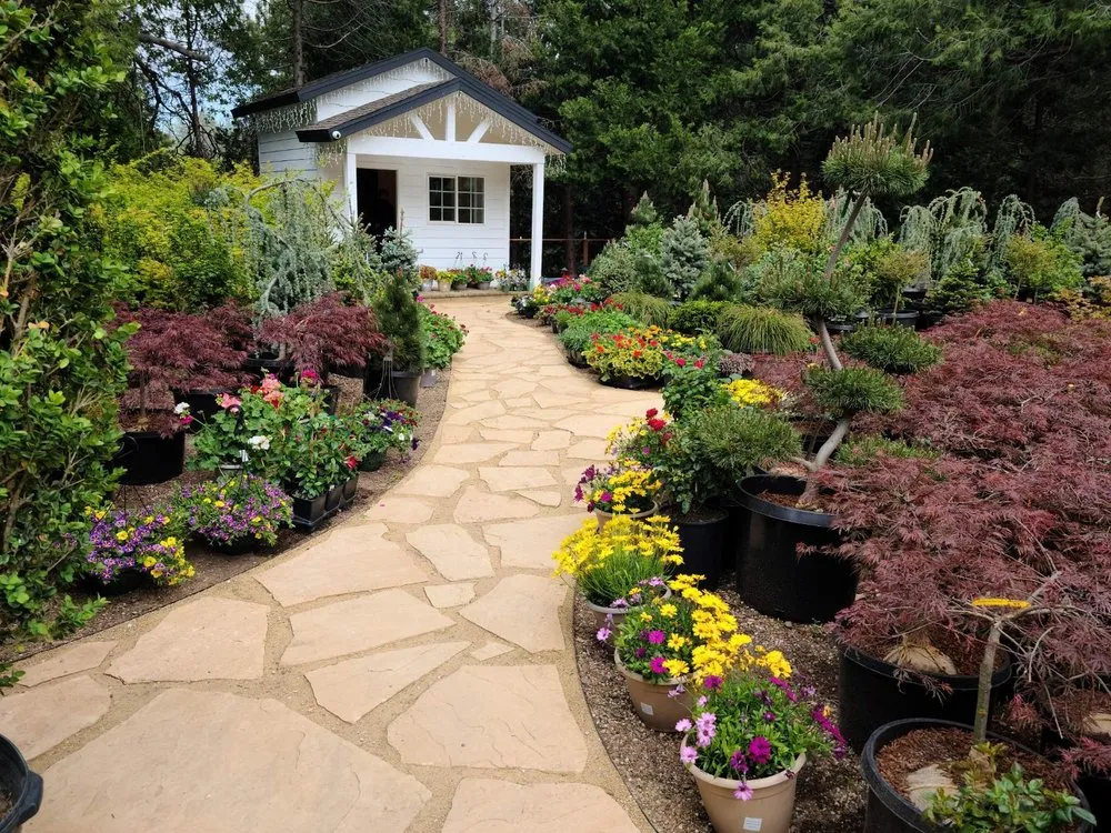 Affordable landscaping services for outdoor upgrades across Lake Arrowhead, CA - The Standard Design Group Nurseries