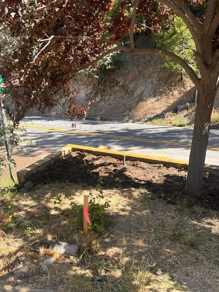 Reliable landscaping services near you across Lake Arrowhead, CA - The Standard Design Group Nurseries