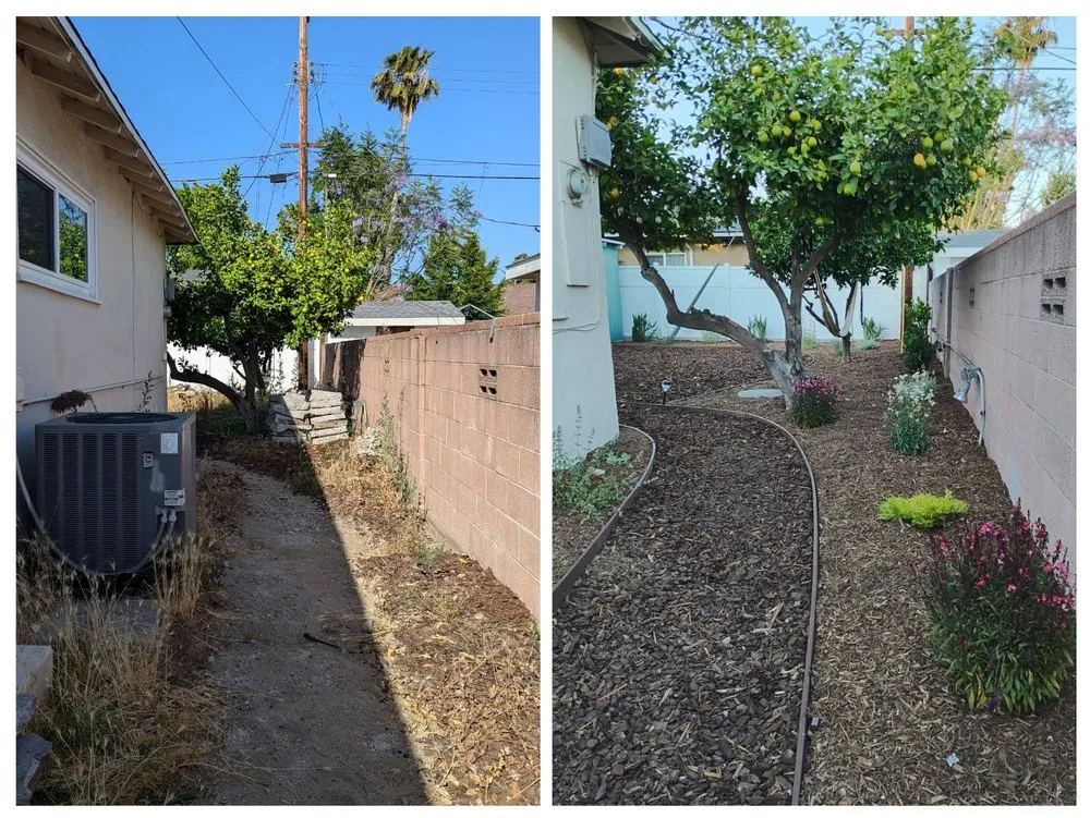 Expert residential landscaping in North Hollywood, CA - The Standard Design Group Nurseries