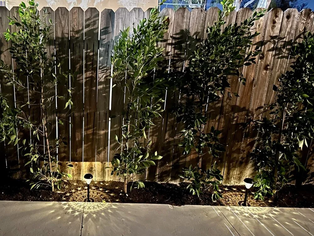 Affordable garden landscaping in North Hollywood, CA by The Standard Design Group Nurseries