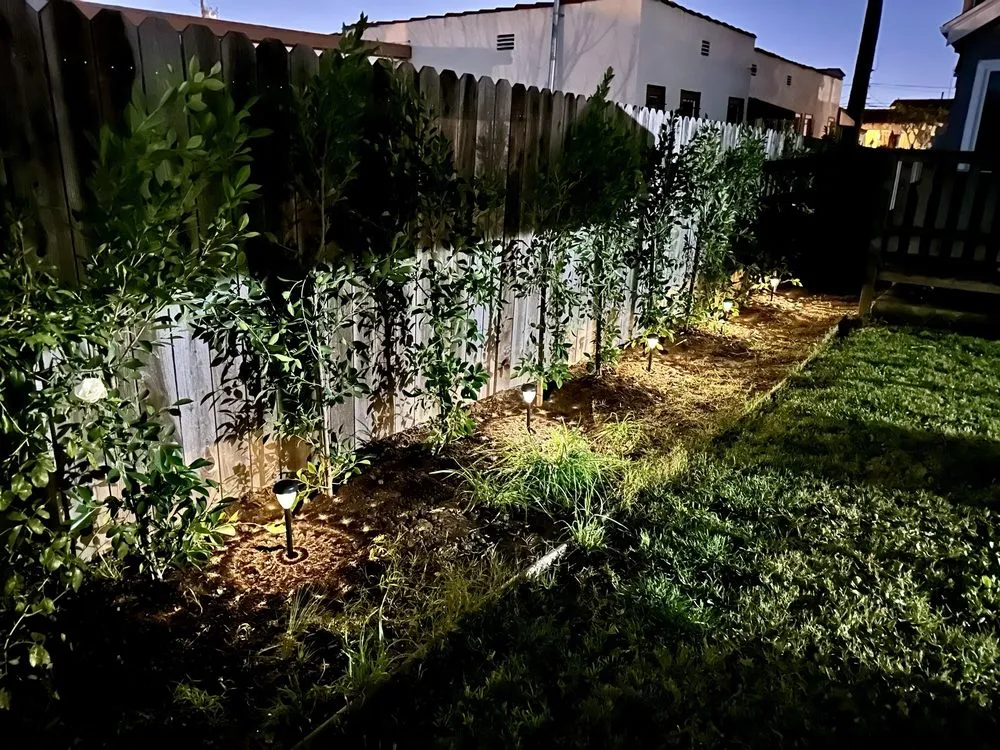 Top-rated lawn mowing service in North Hollywood, CA by The Standard Design Group Nurseries