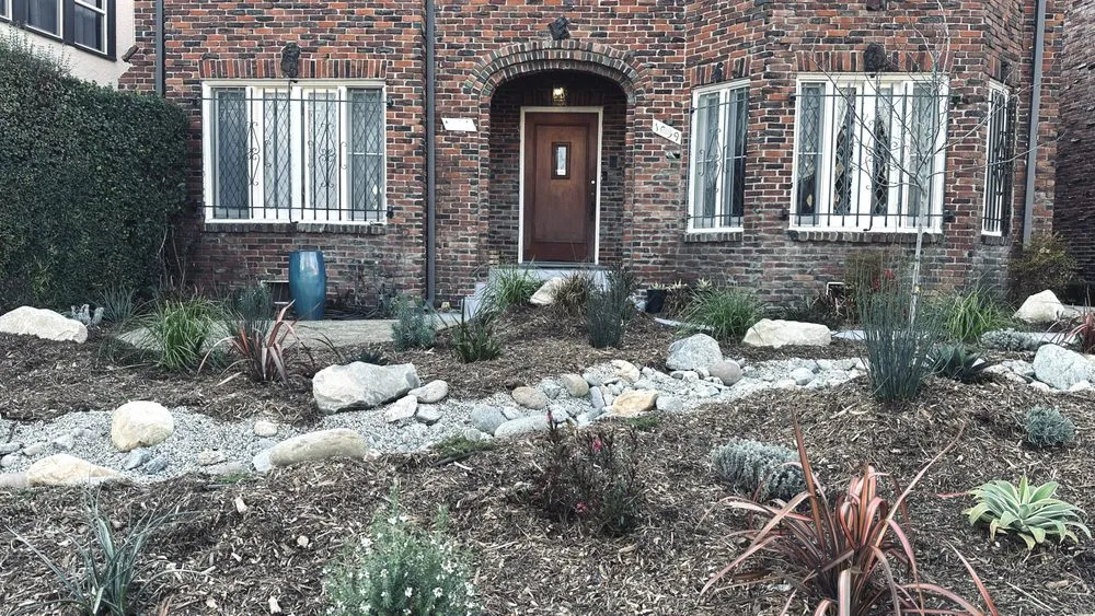 Affordable yard cleanup service in Pacific Palisades, CA - The Standard Design Group Nurseries