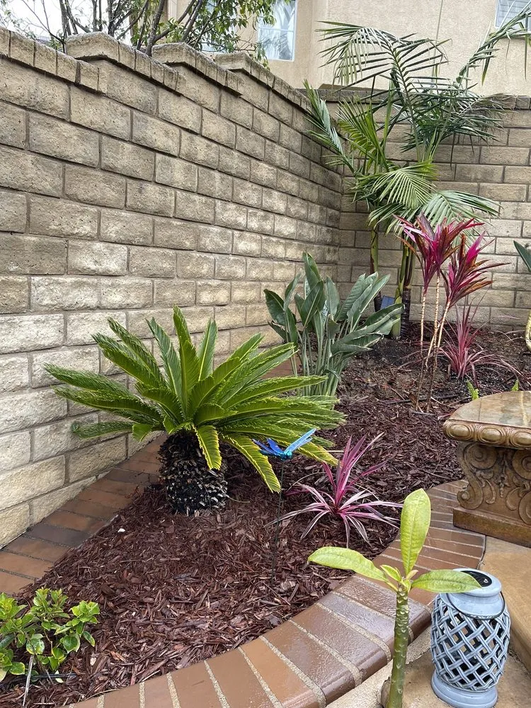Expert yard maintenance in Pacific Palisades, CA by The Standard Design Group Nurseries