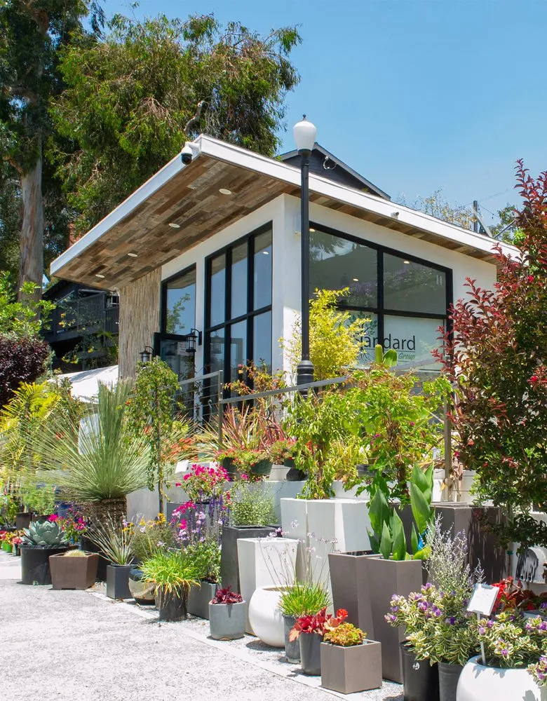 Local garden landscaping experts serving Pacific Palisades, CA - The Standard Design Group Nurseries
