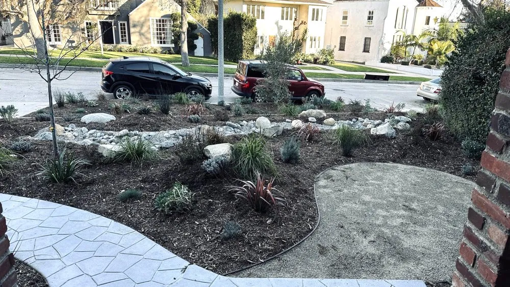 Professional residential landscaping experts serving Pacific Palisades, CA - The Standard Design Group Nurseries