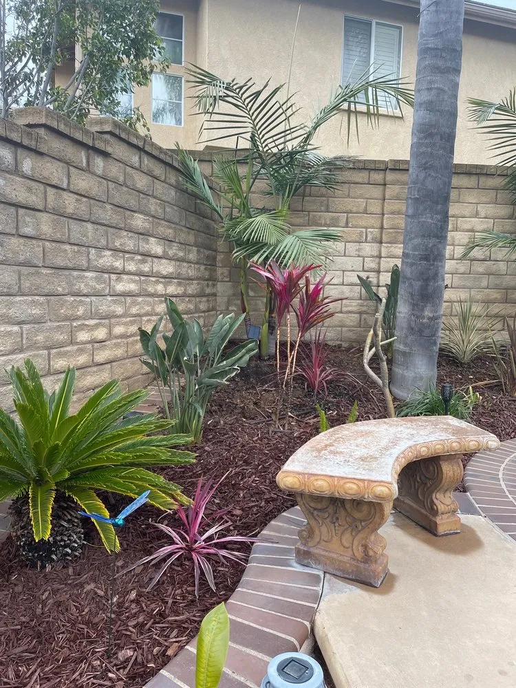 Affordable outdoor landscaping for outdoor upgrades across Pacific Palisades, CA - The Standard Design Group Nurseries