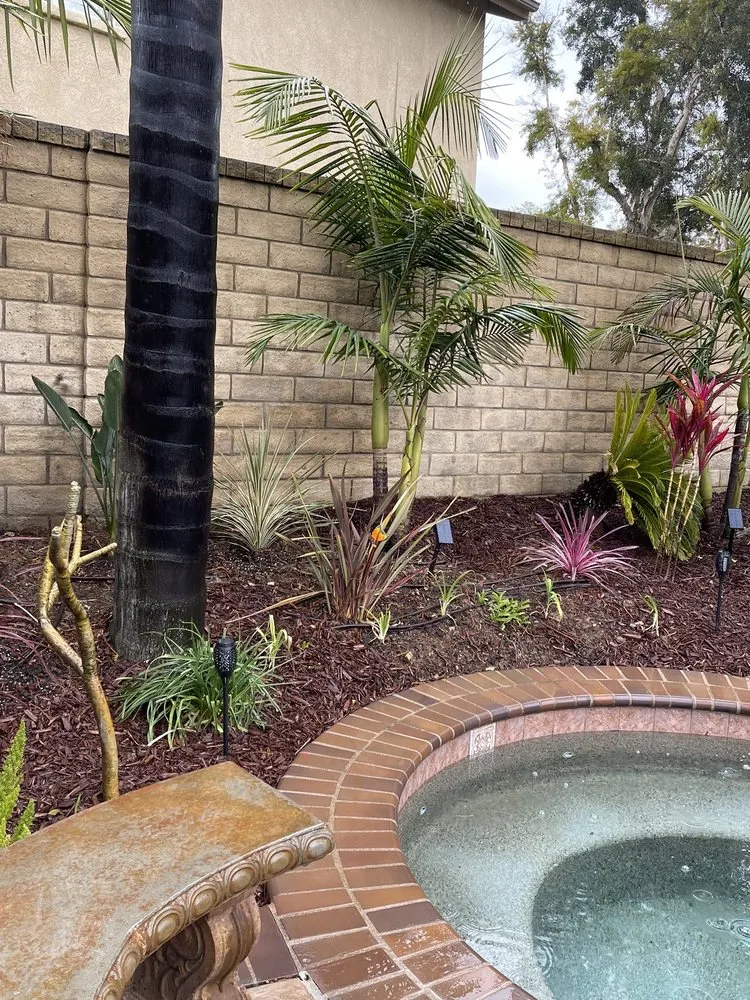 Affordable outdoor landscaping with custom design across Pacific Palisades, CA - The Standard Design Group Nurseries