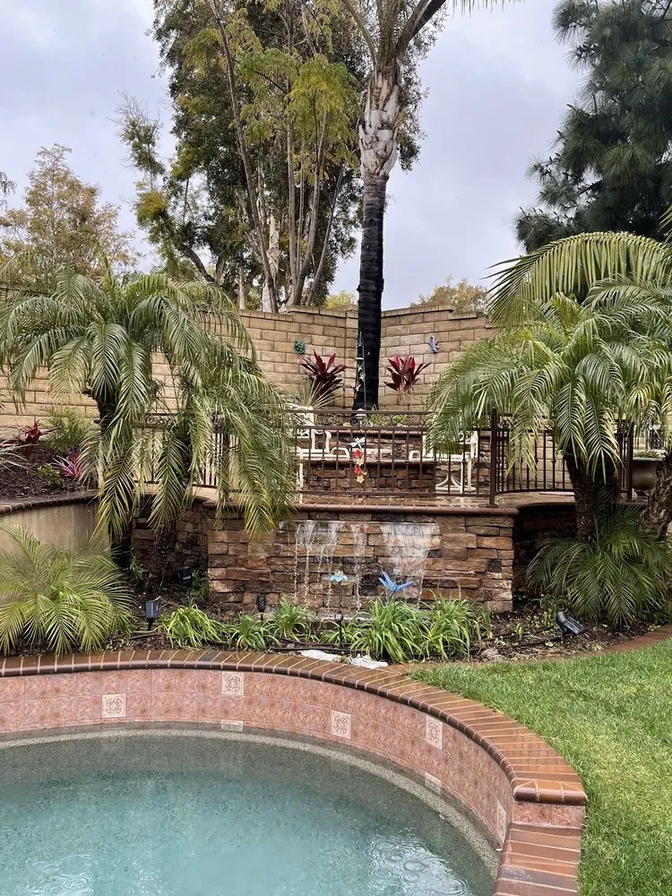 Local yard cleanup service in Pacific Palisades, CA - The Standard Design Group Nurseries