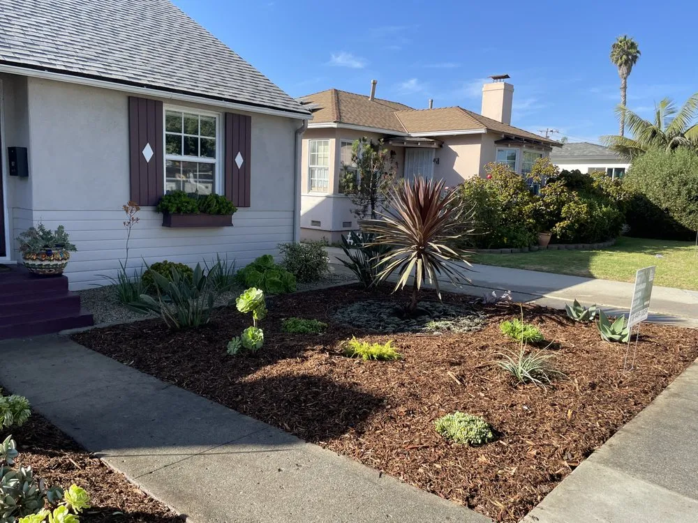 Expert landscape installation experts serving Pacific Palisades, CA - The Standard Design Group Nurseries