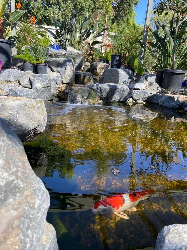 Trusted lawn mowing service experts serving Pasadena, CA - The Standard Design Group Nurseries