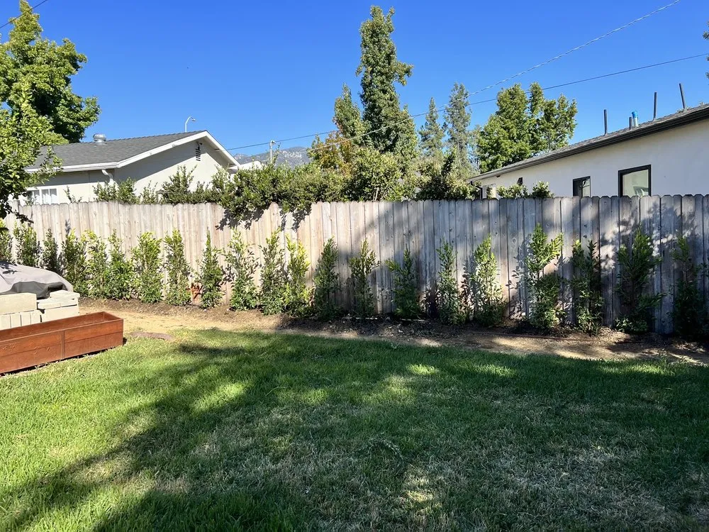 Top-rated lawn care service in Pasadena, CA by The Standard Design Group Nurseries