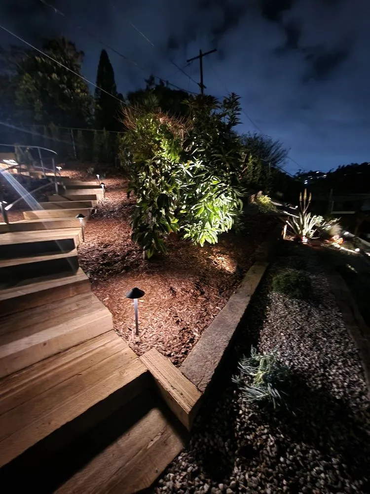 Affordable outdoor landscaping near you in Pasadena, CA by The Standard Design Group Nurseries