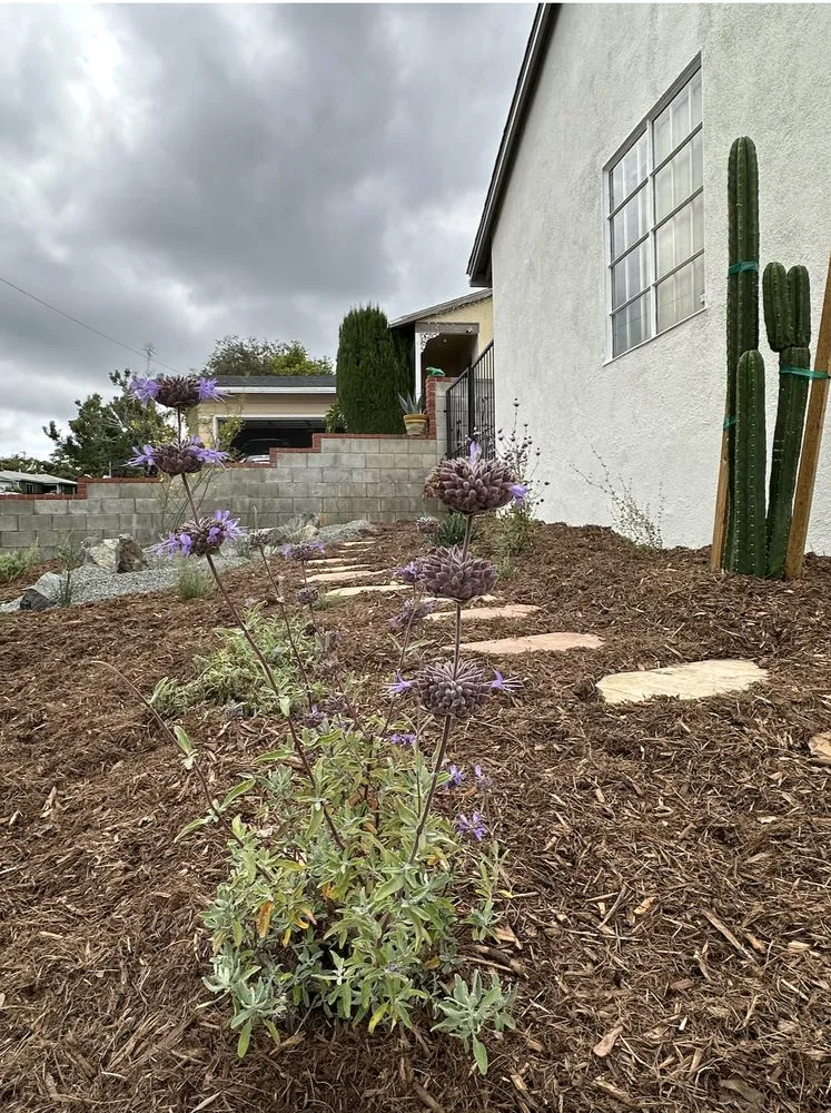 Reliable yard maintenance in Pasadena, CA - The Standard Design Group Nurseries