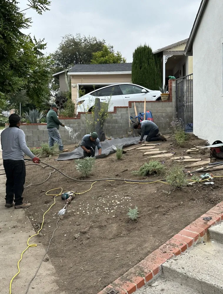 Trusted landscape design with custom design across Pasadena, CA - The Standard Design Group Nurseries