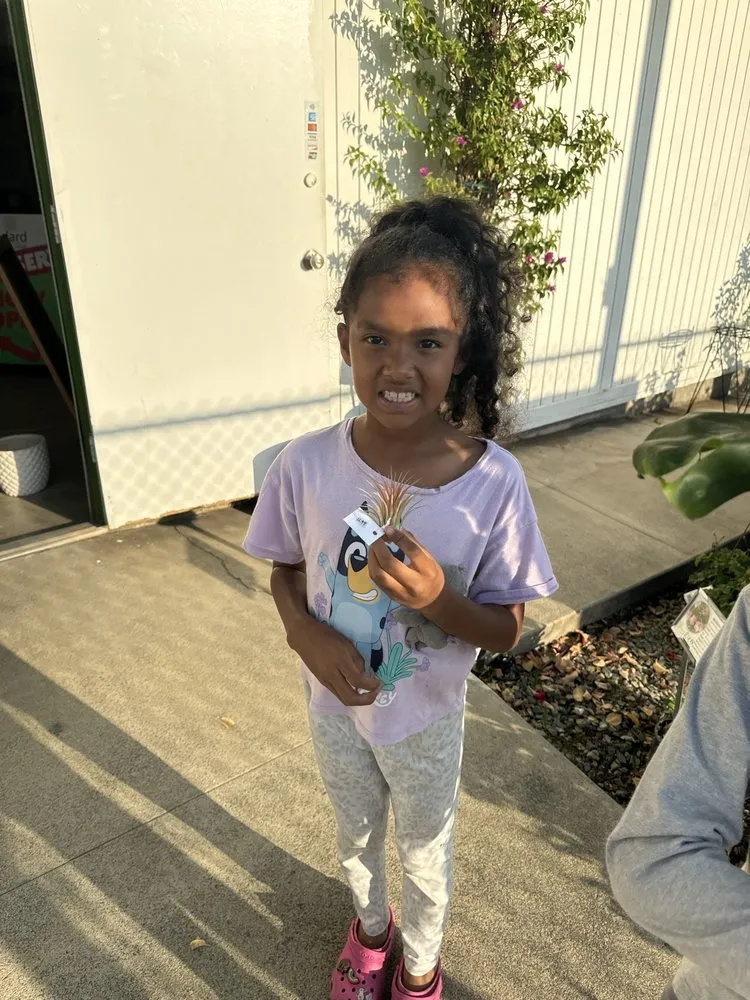 Reliable yard cleanup service for outdoor upgrades in Pasadena, CA by The Standard Design Group Nurseries