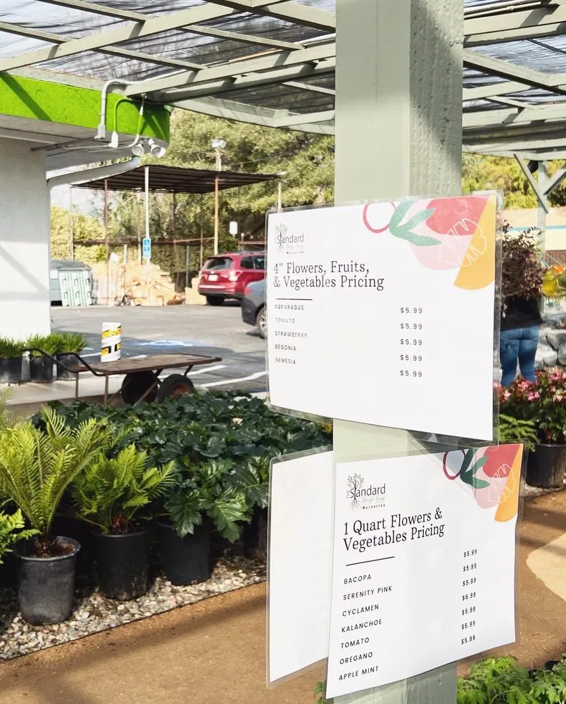 Custom yard maintenance for homes across Pasadena, CA - The Standard Design Group Nurseries