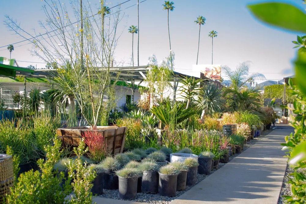 Custom garden landscaping in Pasadena, CA - The Standard Design Group Nurseries