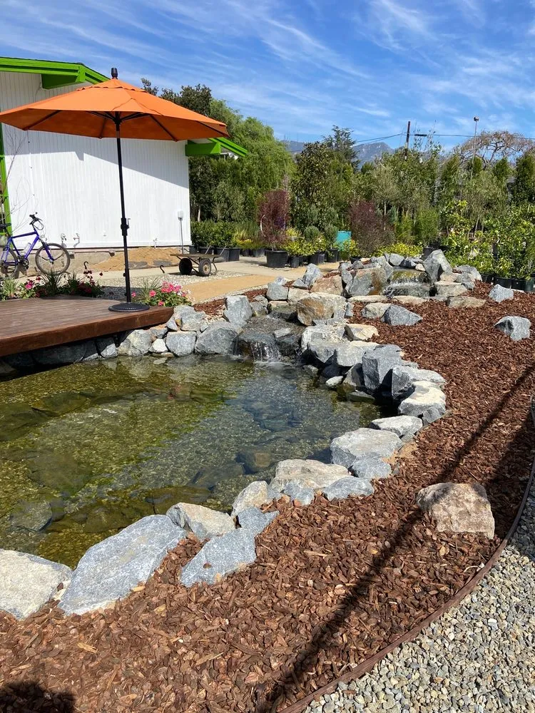 Trusted garden landscaping experts serving Pasadena, CA - The Standard Design Group Nurseries