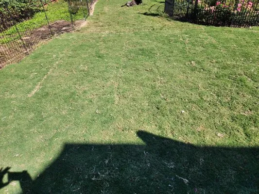 The Standard Landscape Solutions