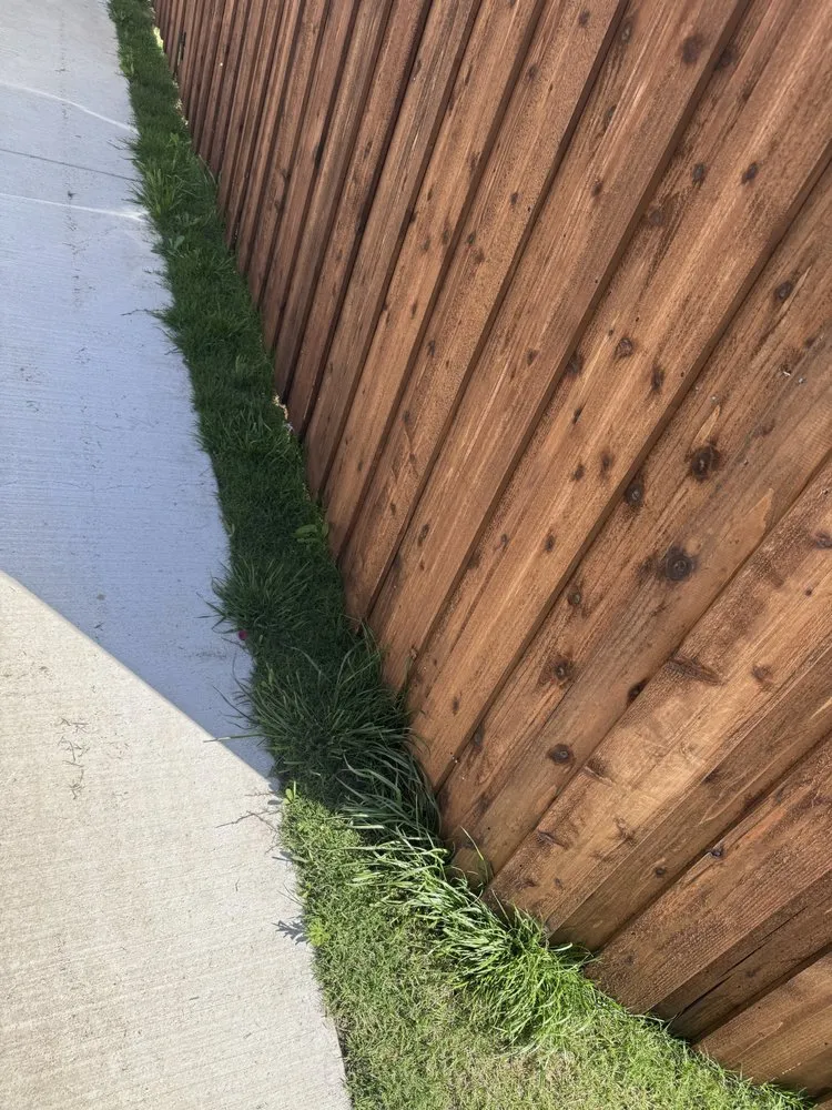 Affordable yard cleanup service for year-round maintenance in Fort Worth, TX by The STARZ Lawn Pros